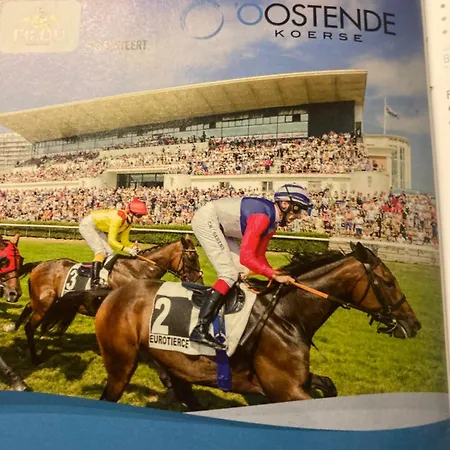 Appartamento Micheline's Plekje *